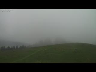 Wetter Webcam Gais 