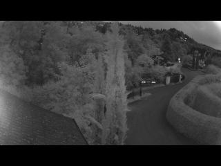 Wetter Badenweiler