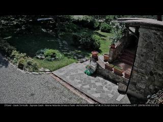 tiempo Webcam Montieri 