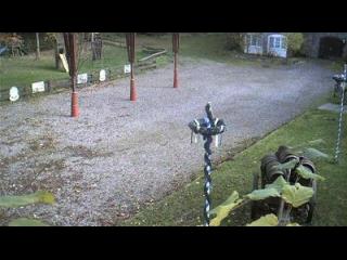 weather Steinheim