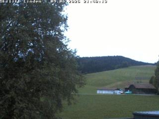 tiempo Webcam Linden 