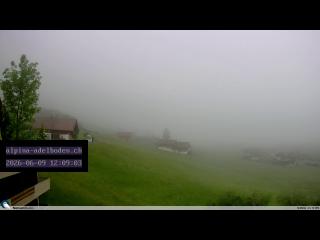 tiempo Webcam Adelboden (Berner Oberland) tiempo Webcam Adelboden (Berner Oberland)