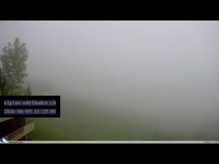 tiempo Webcam Adelboden (Berner Oberland)