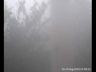 Wetter Movelier Wetter Movelier