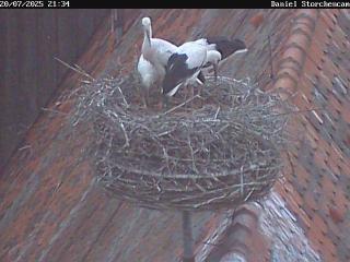 Webcam Nördlingen Webcam Nördlingen