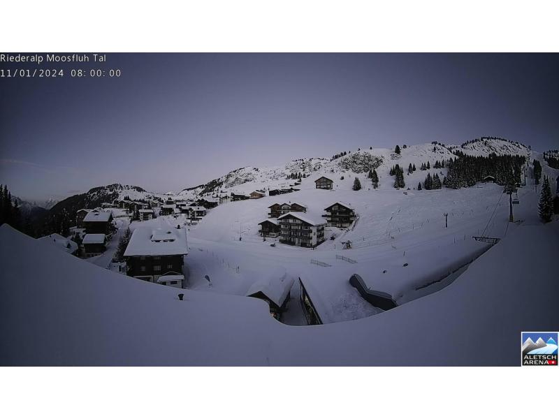 Webcams Riederalp