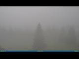 Wetter Webcam Gingins 
