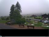 tiempo Webcam Adelboden (Berner Oberland)