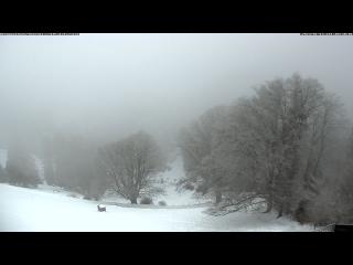 Wetter Webcam Steg im Tösstal 