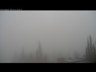Wetter Webcam Alpine Meadows 
