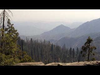 Wetter Webcam Sequoia National Park 