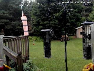 Wetter Webcam Central Lake 