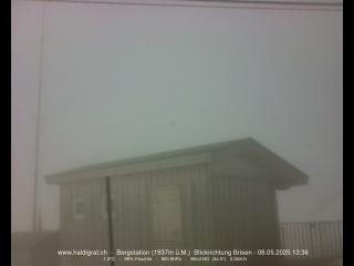 Wetter Webcam Niederrickenbach 