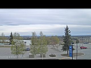 weather Webcam Fairbanks 