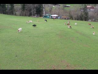 Wetter Webcam Zweisimmen (Berner Oberland, Simmental, Rinderberg)