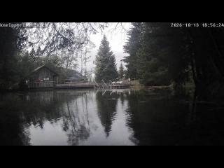 Wetter Flühli (https:--www.kneipperlebnis.ch-) Wetter Flühli (https:--www.kneipperlebnis.ch-)