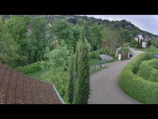 Wetter Webcam Badenweiler 