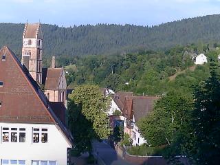 Wetter Webcam Alpirsbach 