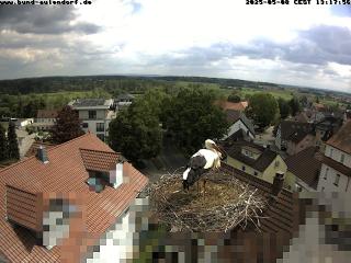 Wetter Webcam Aulendorf 