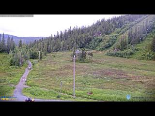 Wetter Webcam Trondheim (Hurtigruten)