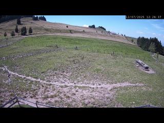 Wetter Webcam Küssnacht am Rigi 