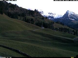 Wetter Webcam Diemtigen (Wiriehorn, Grimmialp, Naturpark Diemtigtal)