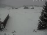 weather Webcam Arosa (Graubünden, Schanfingg - Arosa) weather Webcam Arosa (Graubünden, Schanfingg - Arosa)