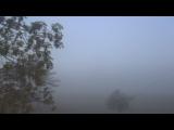 temps Webcam Mount Vernon 