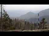 Preview Meteo Webcam Sequoia National Park 