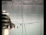 tiempo Webcam Beinwil am See 