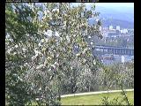 weather Webcam St. Gallen 