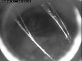 meteo Webcam Tambach-Dietharz 