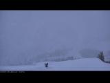Wetter Webcam Flachau (Ski Amade) Wetter Webcam Flachau (Ski Amade)