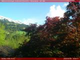 meteo Webcam Diemtigen (Wiriehorn, Grimmialp, Naturpark Diemtigtal)