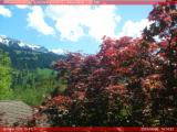 temps Webcam Diemtigen (Wiriehorn, Grimmialp, Naturpark Diemtigtal)