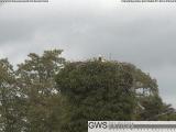 Preview Weather Webcam Hohenstein 