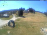 tiempo Webcam Feldberg 