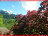 temps Webcam Diemtigen (Wiriehorn, Grimmialp, Naturpark Diemtigtal)