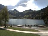 tiempo Webcam Schwarzsee 