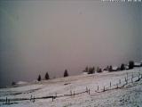 meteo Webcam Altdorf (Skilift, Luftseilbahn) meteo Webcam Altdorf (Skilift, Luftseilbahn)