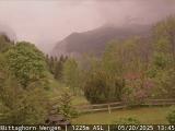 Preview Tiempo Webcam Wengen (Berner Oberland, Jungfrau Region)