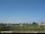 temps Webcam Altamura 