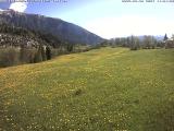 temps Webcam Flims Dorf 