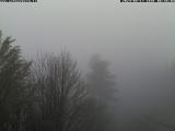 Preview Weather Webcam Schneeberg 