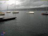 temps Webcam Thalwil (Lac de Zurich)
