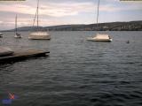 Preview Temps Webcam Thalwil (Lac de Zurich)