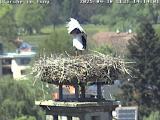 meteo Webcam Isny im Allgäu 