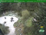 Wetter Webcam Oberhof 