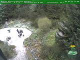 Preview Wetter Webcam Oberhof 