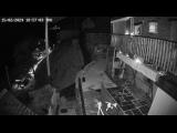 weather Webcam  (TESSIN) weather Webcam  (TESSIN)